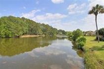 Palmetto Dunes Plantation By Hilton Head Accommodations Хилтон-Хед-Айленд Экстерьер фото